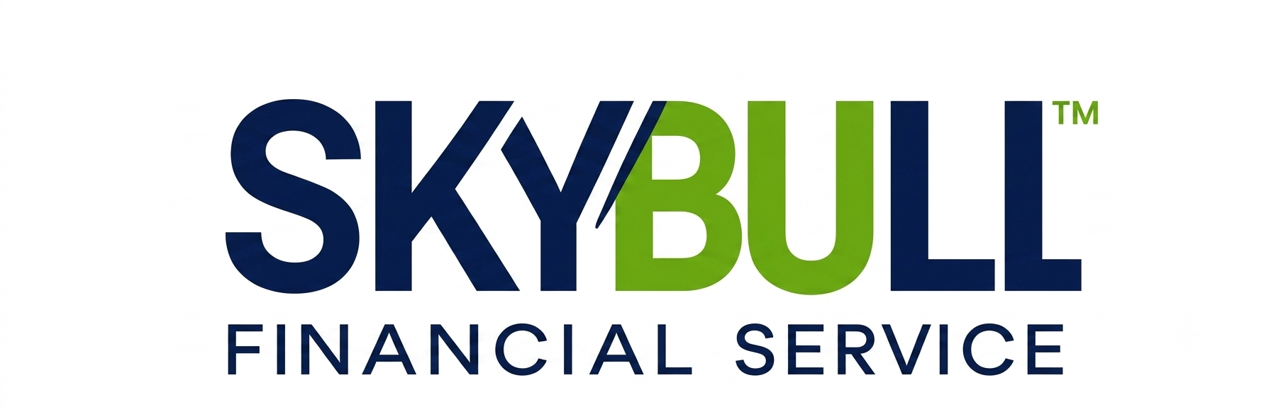 Skybull Financial Service